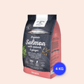 Go Native – Saumon, Épinards & Gingembre 4kg Adulte